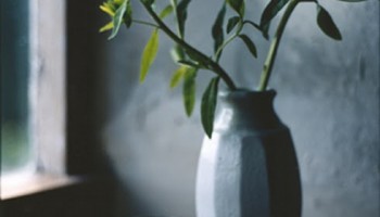 grey vase