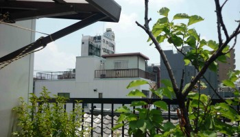 tokyo balcony