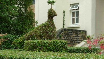 Lewisham Way garden