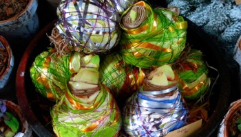 wrapped bulbs