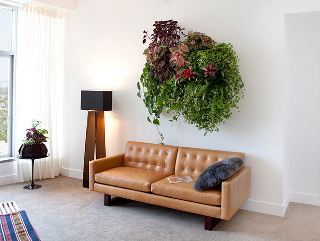 Wall hanging garden