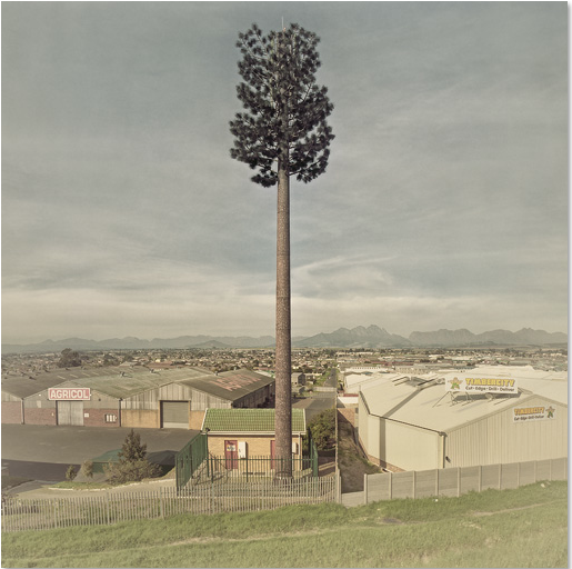 Phone mast tree