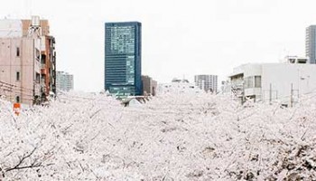 Tokyo skyline April