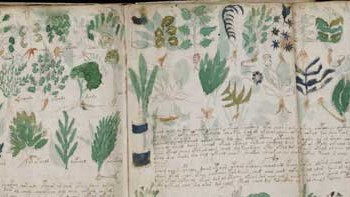 Voynich book