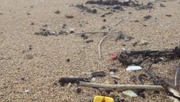 Lego washed up on beach