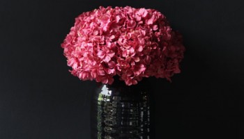 Abigail Ahern faux flowers